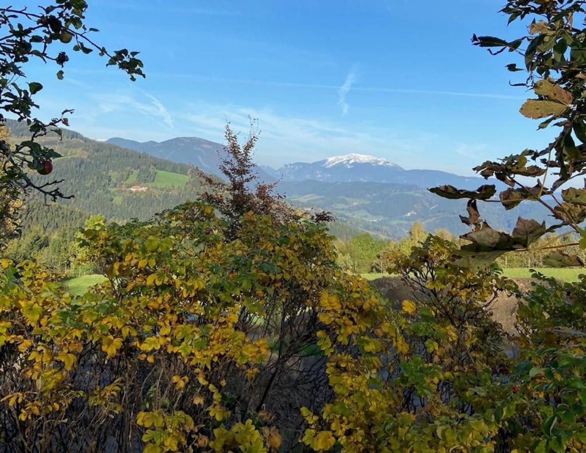 Familiengasthof Pension Oedenhof Sankt Corona am Wechsel Luaran gambar