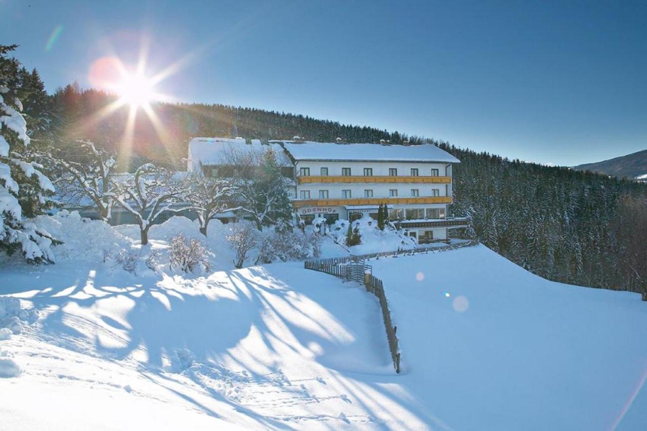 Familiengasthof Pension Oedenhof Sankt Corona am Wechsel Luaran gambar